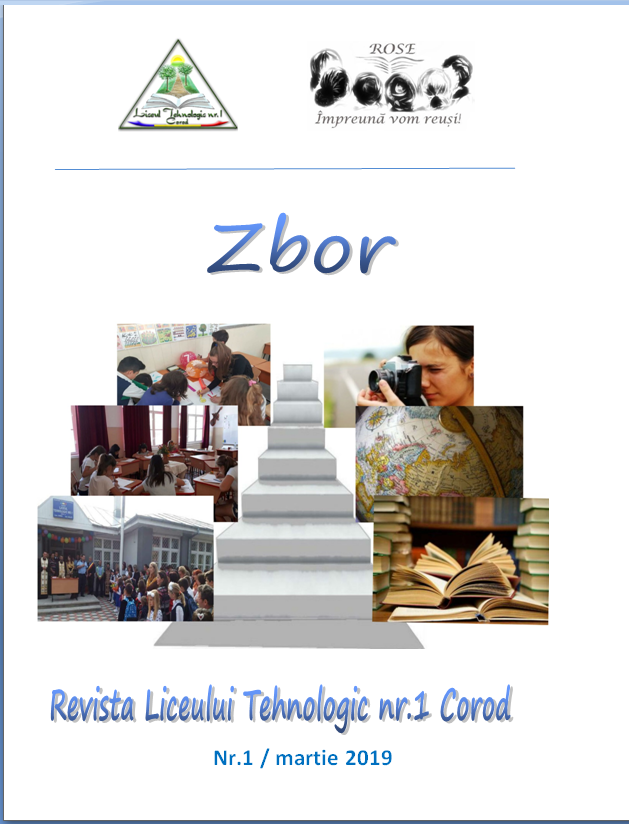 Revista 1 din 2019